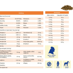 Bosch_Mini_Adult_Lamb_Rice_3Kg1_fourpaws.gr