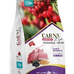 Maya Family Carni Life Cranberry 2
