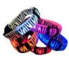 NightGlow LED Κολάρο
