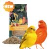 Sing & Song Wildwings 500gr Πλήρης Τροφή για Καναρίνια