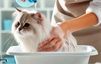 Τα Καλύτερα Σαμπουάν & Βούρτσες για Σκύλους και Γάτες – Πλήρης Οδηγός